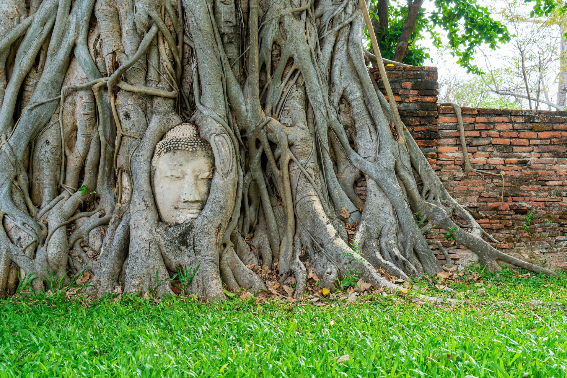Ayutthaya temples and history