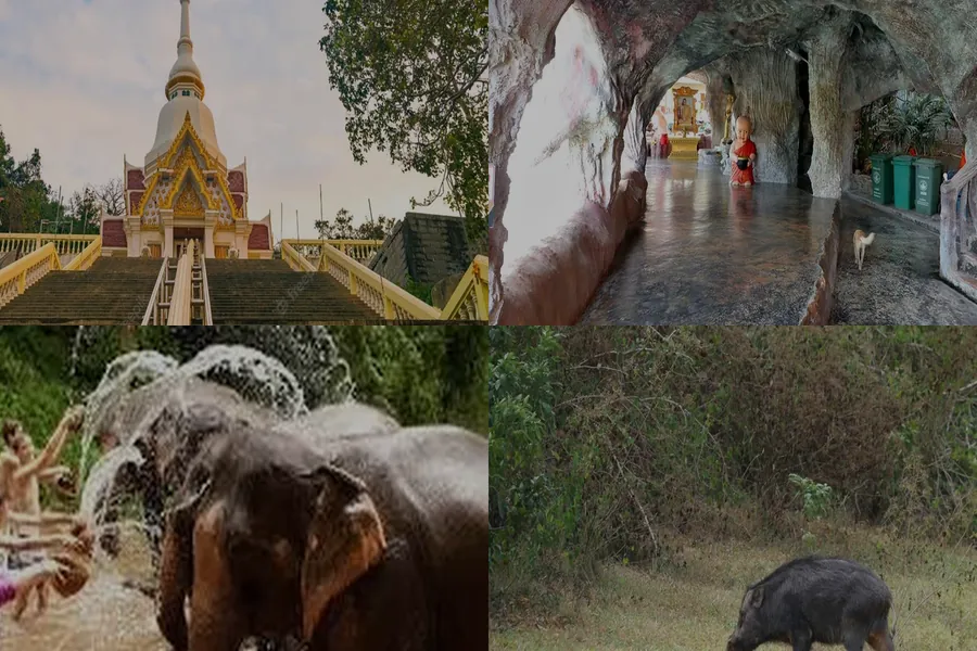 Hua Hin Temples & Elephant Safari