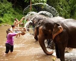 Elephants sanctuary Chiang Mai