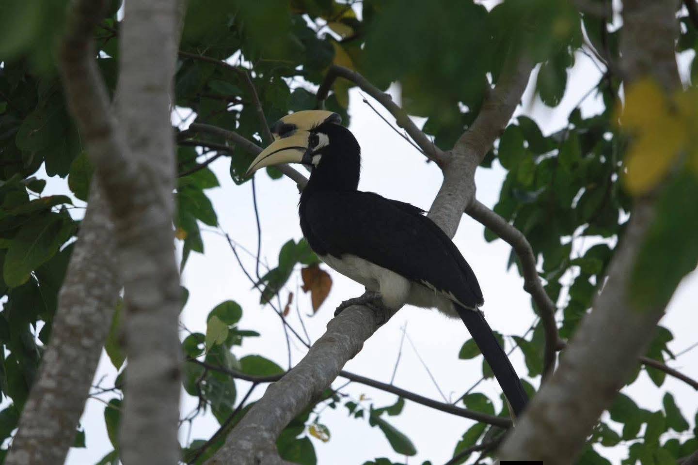 Landscape & 4×4 safari route