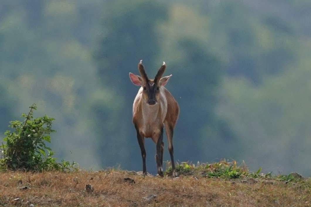 Observation area at dusk